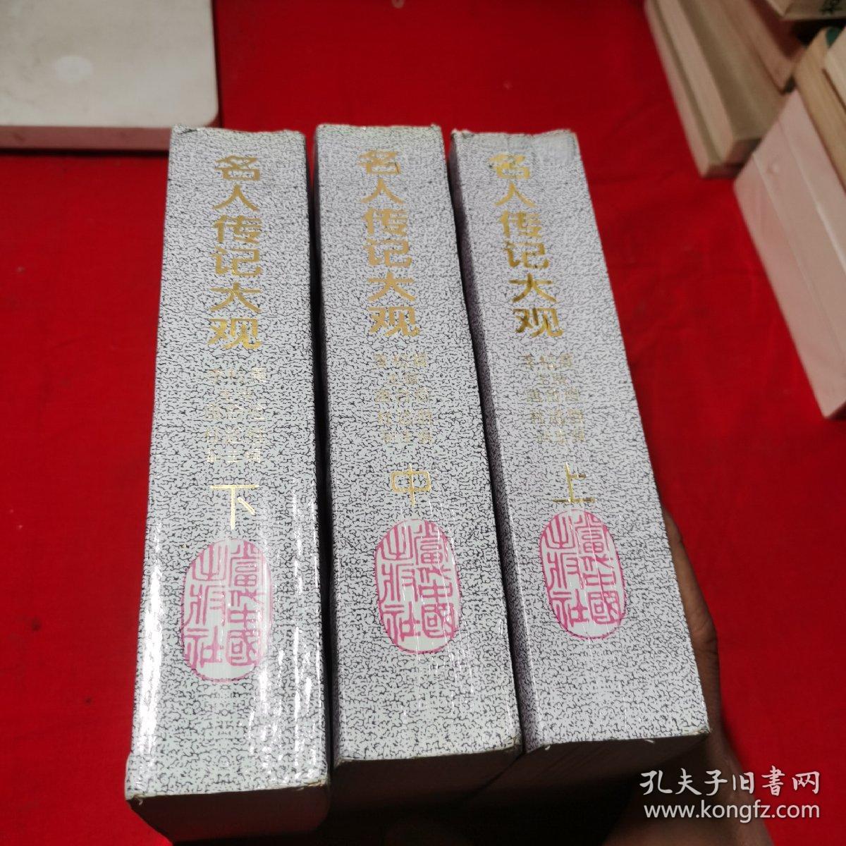 名人传记大观 上中下