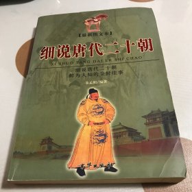 细说唐代二十朝：鲜为人知的尘封往事（下册）