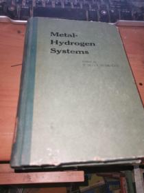 metal-hydrogen systems