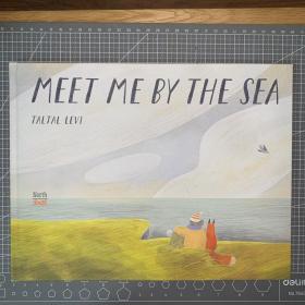 来海边找我 Meet Me By the Sea 儿童艺术绘本 英文原版