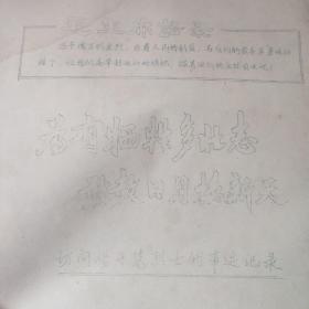 为有牺牲多壮志敢教日月换新天——访问杨开慧烈士的事迹记录(手抄共14面不完整)A4