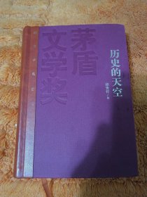 【皮脊 特装本 少见】茅盾文学奖获奖作品全集 皮脊特装版本 《历史的天空》徐贵祥