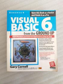 （英文）VISUAL BASIC 6 from the GROUND UP 实物拍摄，以图为主，切口有字