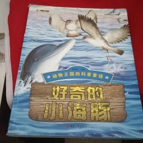 好奇的小海豚