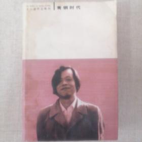 《王小波文集 青铜时代》