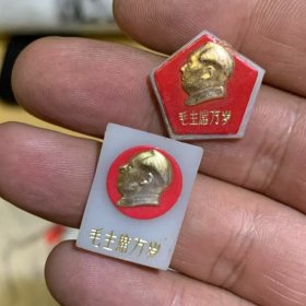 毛主席塑料像章244个