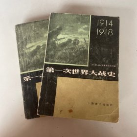 1914-1918第一次世界大战史上下册