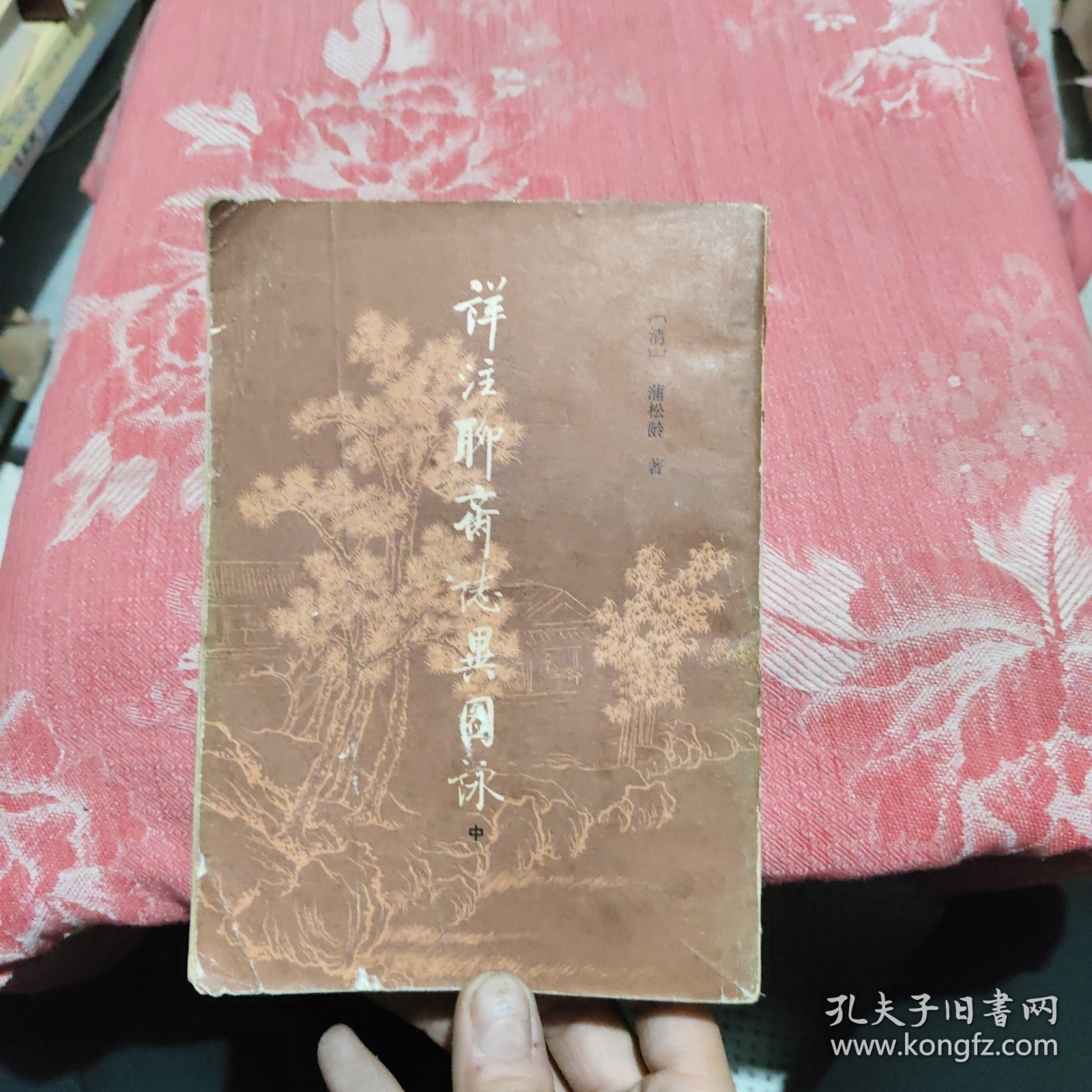 详注聊斋志异图咏（中），17.98元包邮，