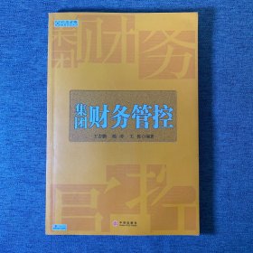 集团财务管控
