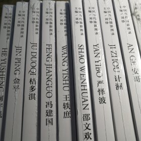 中国当代摄影图录：何宇晟 杜艳芳 李  张巍 曾翰 周裕隆 陈生平 安哥 杨泳梁 庄辉 邵文欢 严怿波 计洲 金平 桔多淇 冯建国 王轶庶 （17册合售）全新未拆封