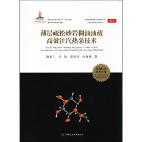 复杂油气藏物理-化学强化开采工程技术研究与实践丛书;7薄层疏松砂岩稠油油藏高效注汽热采技术