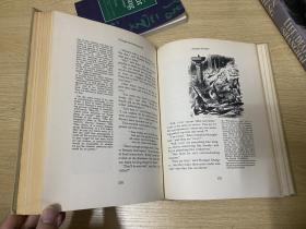 The Annotated Alice:Alice‘s Adventures in WonderLand，Through the looking glass   刘易斯·卡罗尔《爱丽丝漫游奇境记》《爱丽丝镜中奇遇记》集注，著名插画家John Tenniel插图， 精装大16开，重超1公斤，1960年老版书
