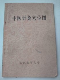 中医针灸穴位图