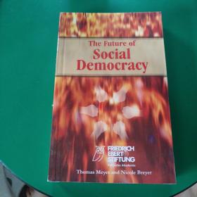 The future of social democracy