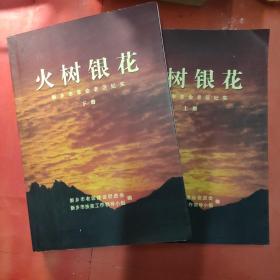 火树银花 新乡市革命老区纪实 上下册