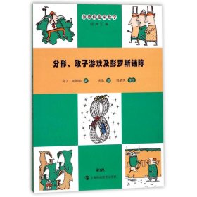 分形、取子游戏及彭罗斯铺陈