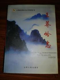 王莽岭志