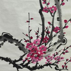 无款花鸟画，国画：约90年代南京流出，花鸟画、35X85 厘米，梅之红