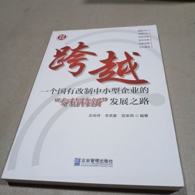 跨越：一个国有改制中小型企业的“专精特新”发展之路