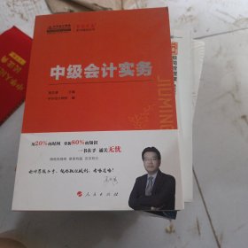 中级会计实务（2019）/K-梦想成真系列辅导丛书