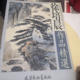 徐培晨作品精选