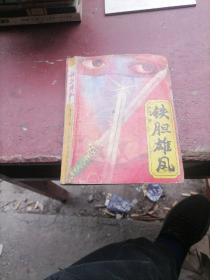 铁胆雄风