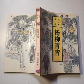 杨柳青青：张恨水全集 第24卷