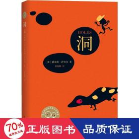 洞 儿童文学 (美)路易斯·萨奇尔