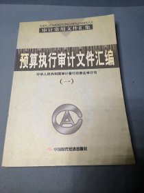 预算执行审计文件汇编 一