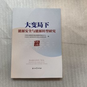 大变局下能源安全与能源转型研究