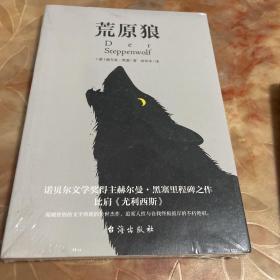 荒原狼（比肩《尤利西斯》，德文直译，无删减完整版。慕尼黑大学图书馆收藏版本。）