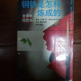 钢铁是怎样炼成的