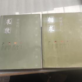 神秘的术数：中国算命术研究与批判