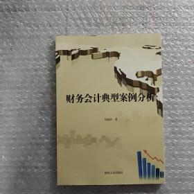 财务会计典型案例分析