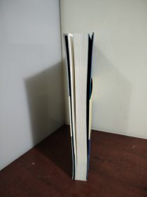 冬吴相对论（内附光盘）