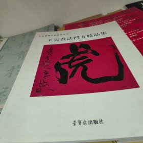 王云书法门方精品集