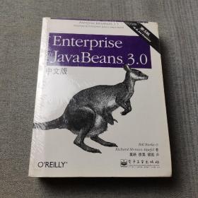 Enterprise JavaBeans 3.0中文版