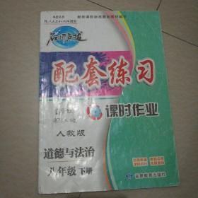 配套练习道德与法治八年级下