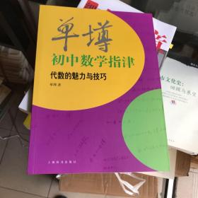 单墫初中数学指津：代数的魅力与技巧