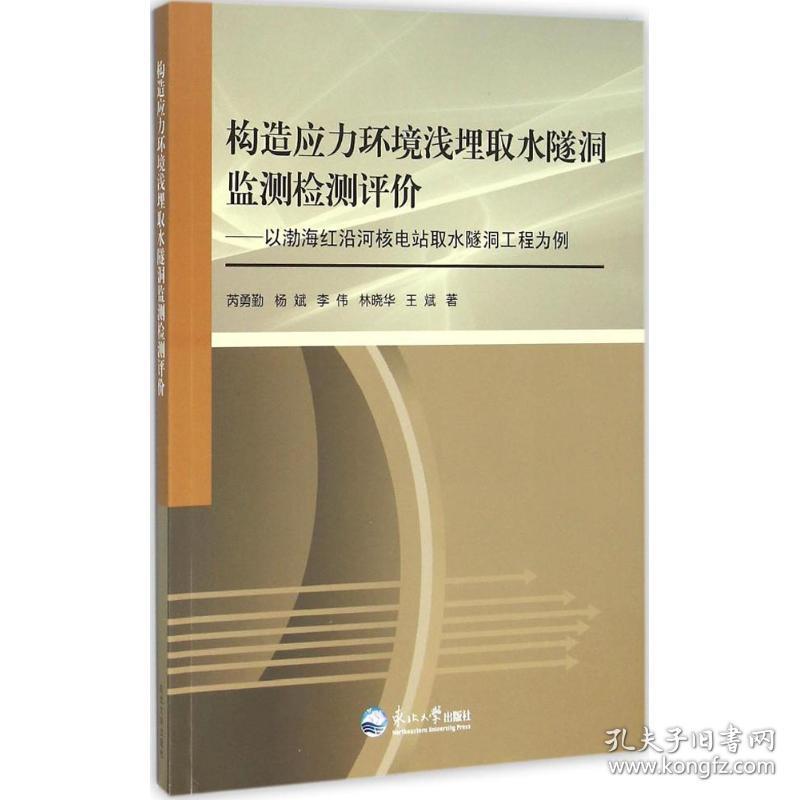 构造应力环境浅埋取水隧洞监测检测评价 环境科学 芮勇勤 等 著 新华正版