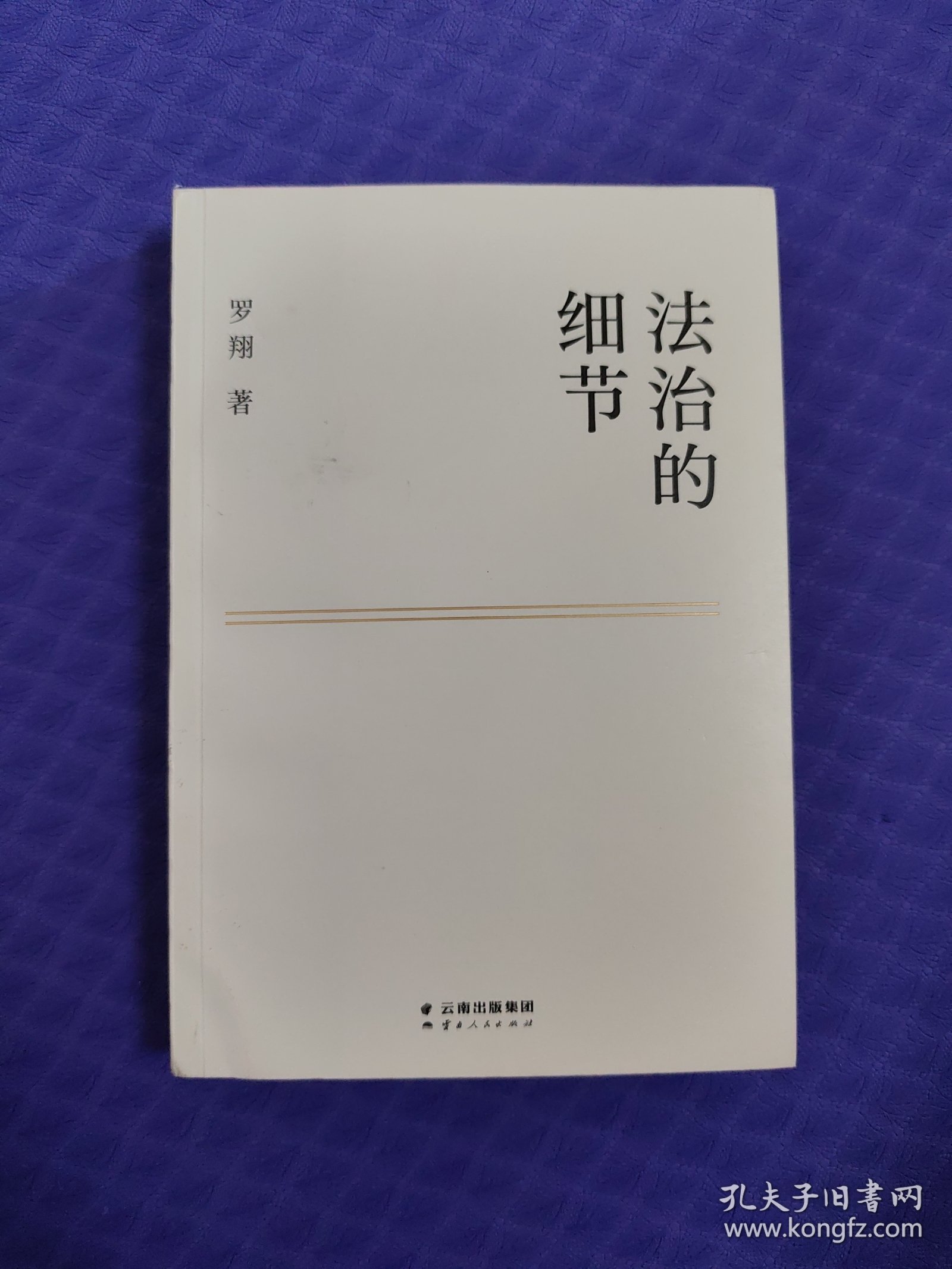 法治的细节