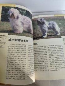 新编世界名犬438种（第2版）轻微有点水印