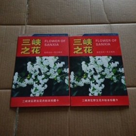 三峡库区野生花卉标本珍藏卡 三峡之花