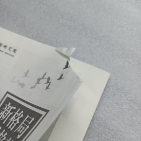 新格局新趋势新机遇—中保险业发展变革前瞻 正版 全新