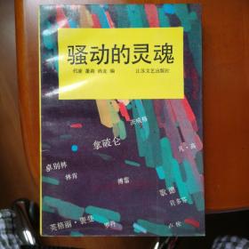骚动的灵魂