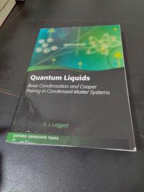 Quantum Liquids: Bose Condensation and Cooper Pairing in Condensed-Matter Systems