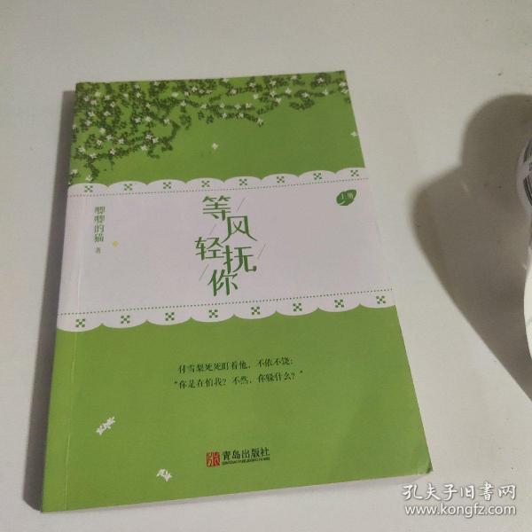 等风轻抚你（上下）原名等风热吻你她的小梨涡作者唧唧的猫新作