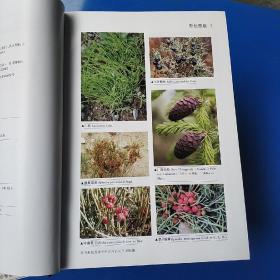 昆仑植物志（第1－4卷）全套四册 精装