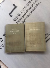上海译文1992印版 托尔斯泰文集 安娜·卡列尼娜 全上下册