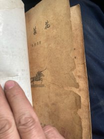 苦菜花
